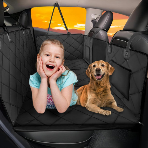 Hard bottom dog - bottom, car